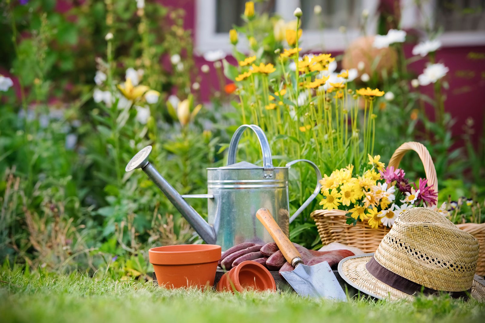 gardening gardening