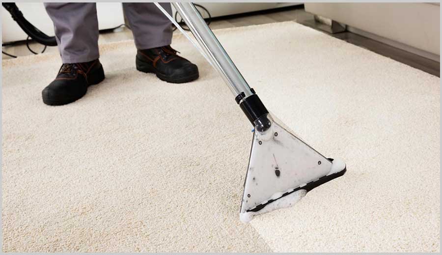 carpet cleaning services carpet cleaning services