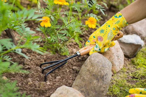 depositphotos 210666204 stock photo hand women gardener hoe loosen